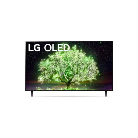 TV OLED LG OLED48A13LA